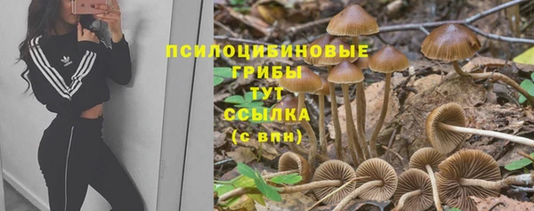 гашишное масло Богородск