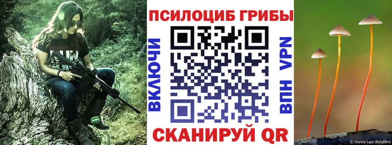 Псилоцибиновые грибы Magic Shrooms  Баксан 